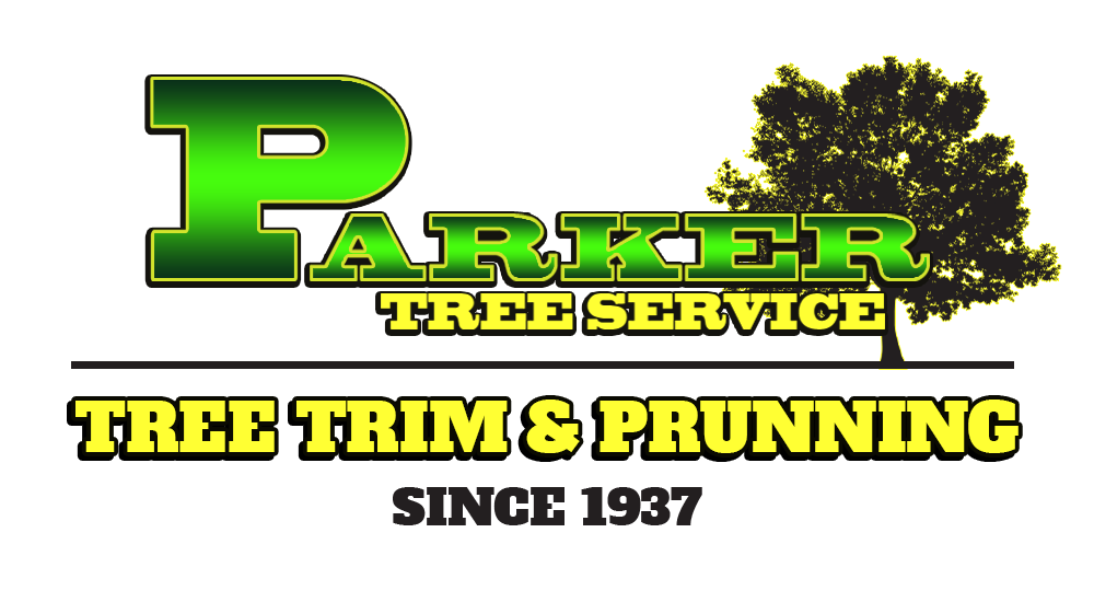 Parker Tree Services